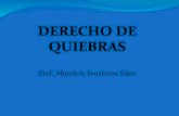 DERECHO DE QUIEBRAS. Introducción