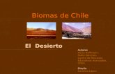 Bioma de Chile Desierto