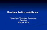 Redes Inf..