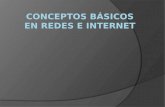 Conceptos básicos en redes e internet