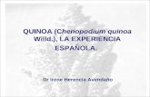 Quinoa (Chenopodium quinoa Willd.), La experiencia española  _ HERENCIA A. Irene - RM