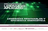 Programa Liderazgo Aplicado: Energ­as Renovables y Eficiencia Energ©tica