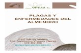 PLAGAS Y ENFERMEDADES DEL ALMENDRO Ver1.0