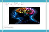 Neurofisiologia. Reflejos.pdf