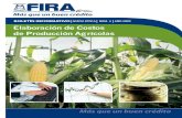 004 - Elaboración_de_Costos_de_Produccion_Agricola.pdf