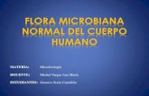 97224141 Flora Microbiana Normal Del Cuerpo Humano Autor Gustavo Soria Castellon(1)