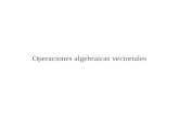 Tema 4-Operaciones Algebraicas de Vectores