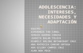 Adolescencia Intereses Necesidades y Adaptacion