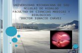 UNIVERSIDAD MICHOACANA DE SAN NICOLAS DE HIDALGO FACULTAD DE CIENCIAS MEDICAS Y BIOLOGICAS DOCTOR IGNACIO CHÁVEZ OBSTETRICIA.