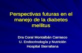Perspectivas futuras en el manejo de la diabetes mellitus Dra Coral Montalbán Carrasco U. Endocrinología y Nutrición Hospital Sierrallana.