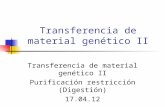 Transferencia de material genético II Purificación restricción (Digestión) 17.04.12.