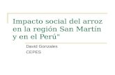 Impacto social del arroz en la región San Martín y en el Perú" David Gonzales CEPES.