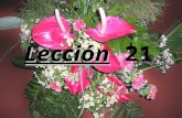 Lección Lección 21 Résumé de 2Pedro A. Conozcan su salvación (1:1-11) B. Conozcan la Escritura (1:12-21) C. Conozcan sus adversarios, los falsos profetas.
