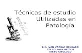 Técnicas de estudio Utilizadas en Patología. LIC. IVAN VARGAS DELGADO TECNOLOGO MEDICO HISTO-CITOLOGO.