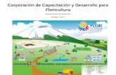 Corporación de Capacitación y Desarrollo para Floricultura Área de Desarrollo Sostenible Santiago Saa R.
