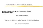 UNIVERSIDAD COMPLUTENSE DE MADRID MÁSTER EN CIENCIAS ACTUARIALES Y FINANCIERAS Microeconomía Tema 6 : Bienes públicos y externalidades Prof. Juan Gabriel.