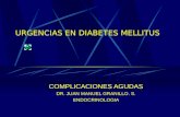URGENCIAS EN DIABETES MELLITUS COMPLICACIONES AGUDAS DR. JUAN MANUEL GRANILLO. S. ENDOCRINOLOGIA.