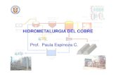Hidrometalurgia Del Cobre