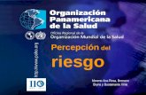 2004 Organización Panamericana de la Salud.... Percepción del riesgo Moreno Ana Rosa, Brenann Bryna y Bustamante Xinia.