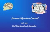 Sistema Nervioso Central Ed. 329 Prof Maritza García González.