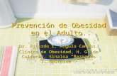 Prevención de Obesidad en el Adulto. Dr. Ricardo E. Angulo Campos. Clínica de Obesidad, H. G. de Culiacán, Sinaloa Bernardo J. Gastelum.