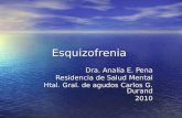 Esquizofrenia Dra. Analía E. Pena Residencia de Salud Mental Htal. Gral. de agudos Carlos G. Durand 2010.