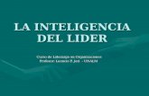 LA INTELIGENCIA DEL LIDER Curso de Liderazgo en Organizaciones Profesor: Leoncio F. Jeri - UNALM.