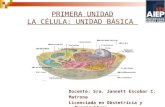 PRIMERA UNIDAD LA CÉLULA: UNIDAD BÁSICA Docente: Sra. Jannett Escobar C. Matrona Licenciada en Obstetricia y Puericultura.
