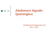 Abdomen Agudo Quirúrgico Unidad de Emergencias HC. Año - 2011.