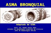 ASMA BRONQUIAL Adaptado de GINA Prof. Dr. Ramón Elías Adle Cátedra de Neumología Hospital de Clínicas Jefe de Neumología IPS-HC.