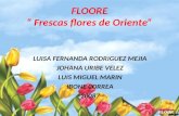 FLOORE Frescas flores de Oriente LUISA FERNANDA RODRIGUEZ MEJIA JOHANA URIBE VELEZ LUIS MIGUEL MARIN IBONE CORREA 20087 FLOORE.