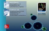 SECCIÓN II. Bioenergética y el metabolismo de carbohidratos y lípidos C APÍTULO 16. Perspectiva general del metabolismo y el suministro de combustibles.