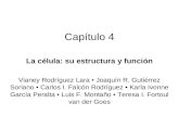 Capítulo 4 La célula: su estructura y función Vianey Rodríguez Lara Joaquín R. Gutiérrez Soriano Carlos I. Falcón Rodríguez Karla Ivonne García Peralta.