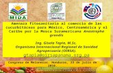 Amenaza fitosanitaria al comercio de las cucurbitáceas para México, Centroamérica y el Caribe por la Mosca Suramericana Anastrepha grandis Ing. Gisela.