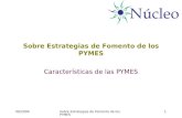 06/2009Sobre Estrategias de Fomento de los PYMES1 Características de las PYMES.