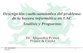 Dr. Alejandro Prince 1 Descripción cualicuantitativa del problema de la basura informática en LAC Análisis y Propuestas Dr. Alejandro Prince Prince & Cooke.