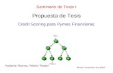 Propuesta de Tesis Audante Ramos, Néstor Rafael Seminario de Tesis I Credit Scoring para Pymes Financieras 08 de noviembre de 2007.