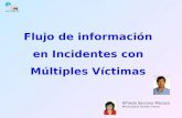Flujo de información en Incidentes con Múltiples Víctimas Alfredo Serrano Moraza María Jesús Briñas Freire.