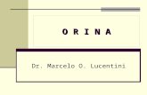 O R I N A Dr. Marcelo O. Lucentini. ¿Qué es la orina?: La orina es un ultrafiltrado del plasma, a través de la cual el riñón excreta deshechos tóxicos.