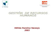 Nélida Ramírez Naranjo 2003. 1 EL FLUJO DE RECURSOS HUMANOS (DE LA OBTENCIÓN A LA DESVINCULACIÓN) PLANIFICACIÓN CARRERA DESVINCULACIÓN DESARROLLO RECLUTAMIENTO.