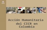 Acción Humanitaria del CICR en Colombia. Temas ¿Qué somos? Consecuencias humanitarias ¿Qué hacemos? Lo que NO hacemos Cómo nos identificamos en las misiones.