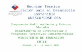 Reunión Técnica Educación para el Desarrollo Sostenible UNESCO/UDSE-OEA Componente Medio Ambiente y Entorno Educador Departamento de Extraescolar y Programas.