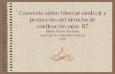 1 Convenio sobre libertad sindical y protección del derecho de sindicación núm. 87 María Marta Travieso Servicio de Libertad Sindical OIT.