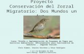 Proyecto Conservación del Zorzal Migratorio: Dos Mundos un Ave. Chris Rimmer, Charles Kerchner y Sésar Rodríguez 1 al 5 de Noviembre de 2010 Santo Domingo,