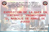 REPÚBLICA BOLIVARIANA DE VENEZUELA MINISTERIO DEL P.P.P. LA DEFENSA DESPACHO DEL VICEMINISTERIO DE SERVICIOS DIRECCIÓN GENERAL DE ARMAS Y EXPLOSIVOS SAN.