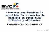 Noviembre de 2003 Elementos que impulsan la consolidación y creación de mercados de renta fija profundos y eficientes. EXPERIENCIA COLOMBIANA.