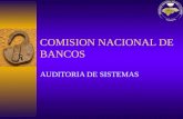 COMISION NACIONAL DE BANCOS AUDITORIA DE SISTEMAS.