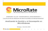 SEMINARIO TALLER TRANSPARENCIA, BENCHMARKING Y CALIFICACION DE RIESGOS EN INSTITUCIONES DE MICROFINANZAS Analizando la Gestión y el Desempeño en Microfinanzas.