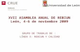 XVII ASAMBLEA ANUAL DE REBIUN León, 4-6 de noviembre 2009 GRUPO DE TRABAJO DE : LÍNEA 3: REBIUN Y CALIDAD.