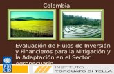Evaluación de Flujos de Inversión y Financieros para la Mitigación y la Adaptación en el Sector Agropecuario Manual de Metodologías del PNUD sobre FI&F: